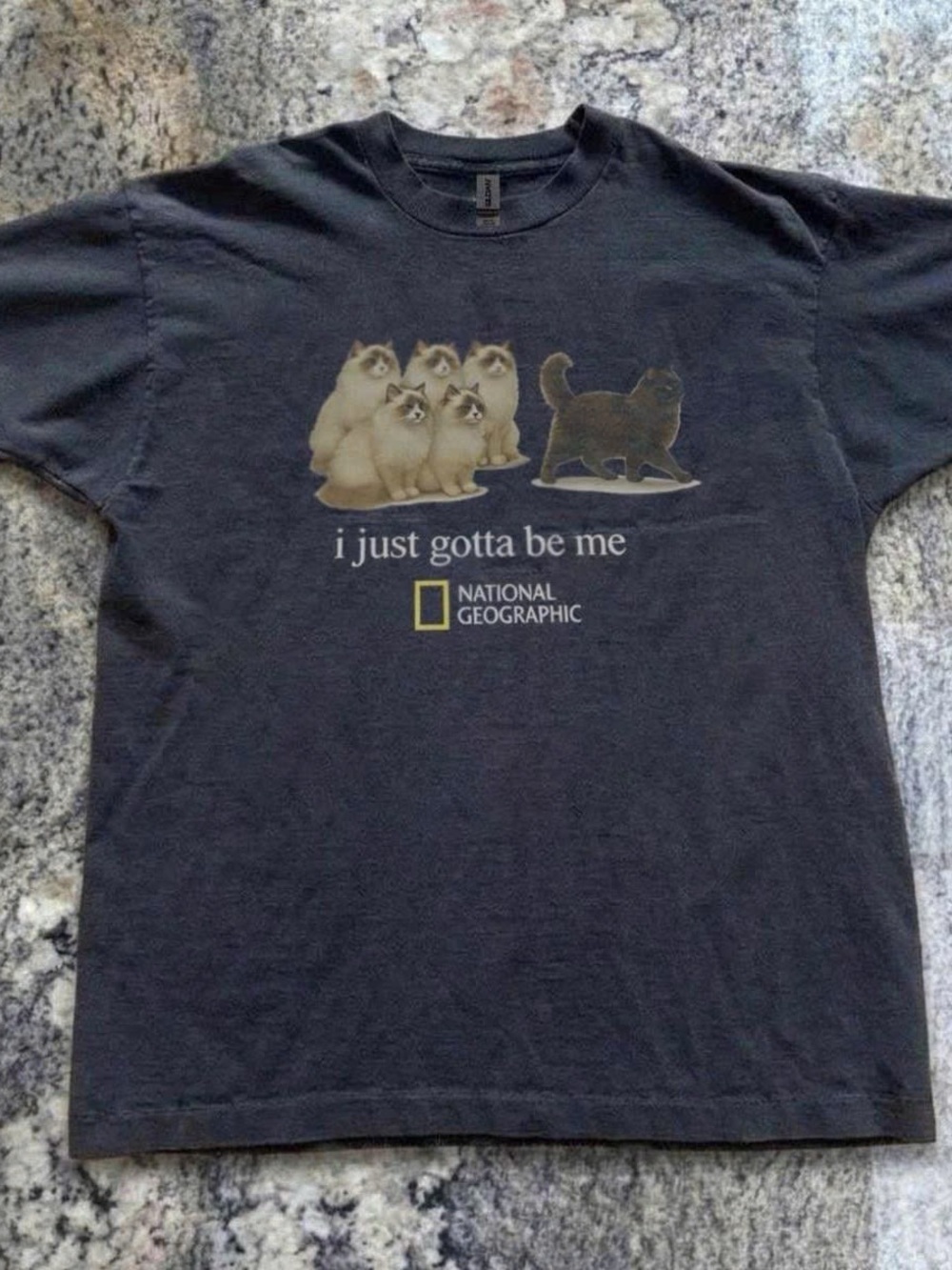 Gildan Black National Geographic "I Just Gotta Be Me" Cat Graphic Tee
